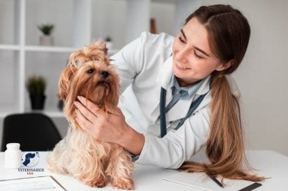 Servicio de Medicina Preventiva - Veterinaria S.O.S.