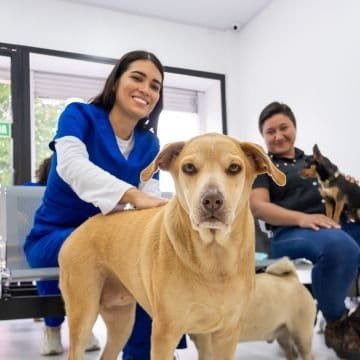 Sobre nosotros - Veterinarios S.O.S.